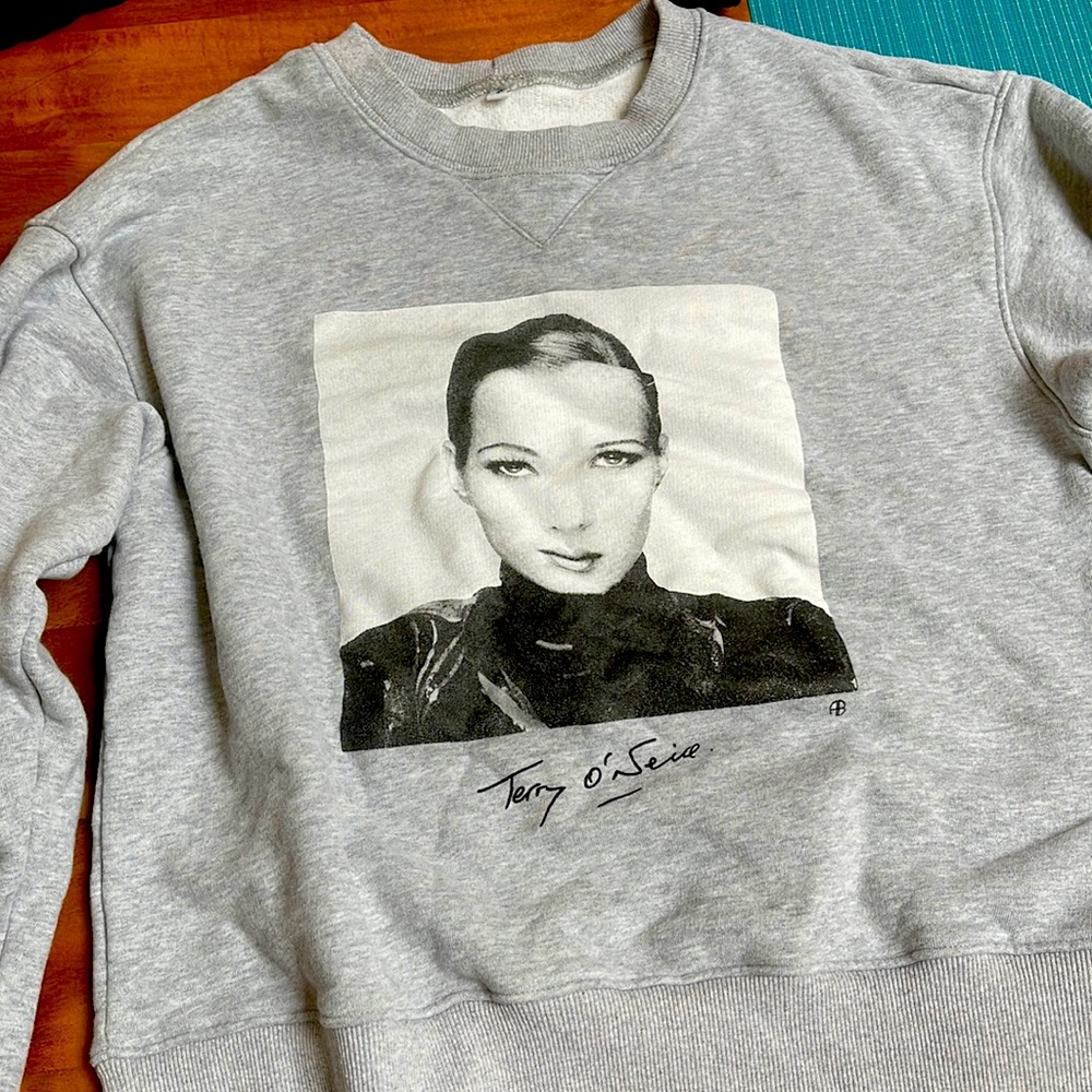 Anine Bing Sweatshirt size small guc
